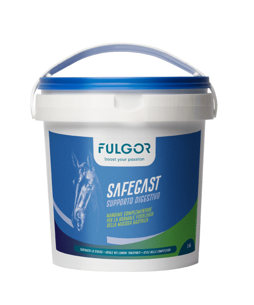 Fulgor Safegast